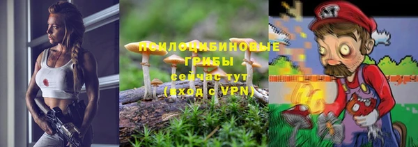 гидра Алексеевка