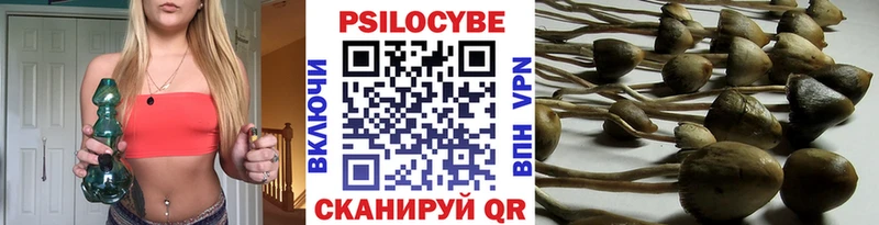 Псилоцибиновые грибы Magic Shrooms Задонск
